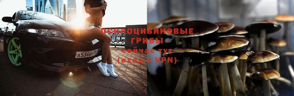 трава Аркадак