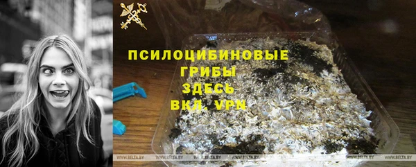 трава Аркадак