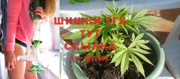 трава Аркадак