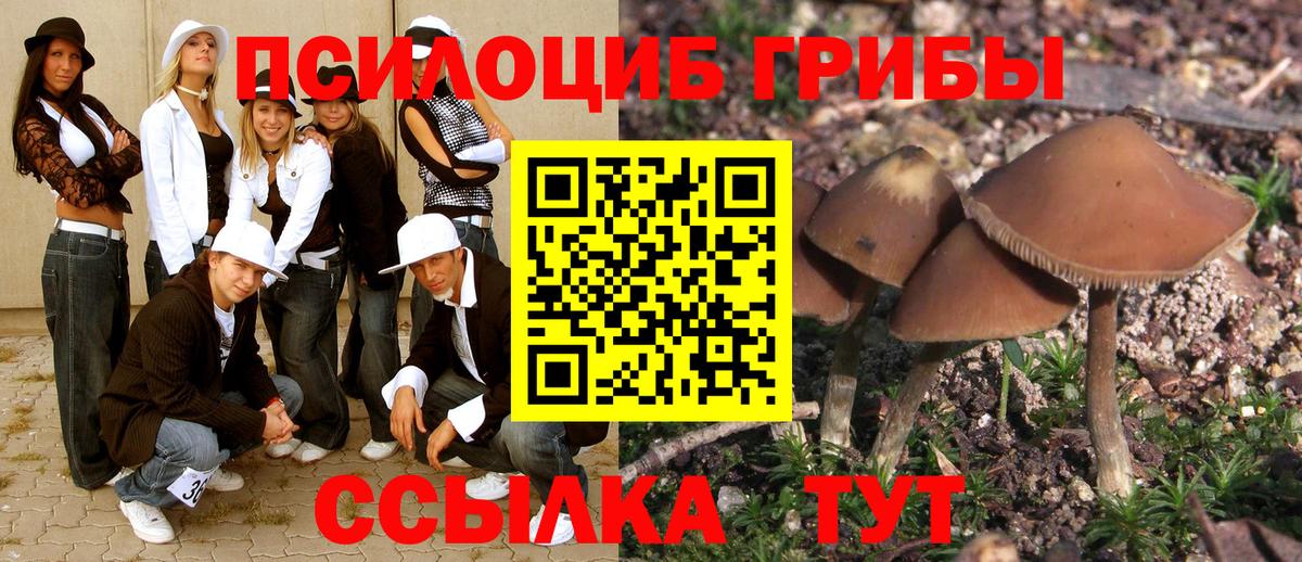Псилоцибиновые грибы мухоморы Баксан